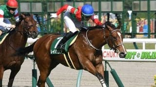 【キーンランドC想定】メイケイエールは武豊騎手、レイハリアは亀田温心騎手