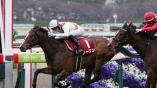 再び100万馬券が炸裂か。荒れる北九州記念で穴党記者が確信をもってオススメする４頭