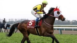 札幌記念はトップ牝馬の激突に注目も、牡馬「堅実派」が魅力的