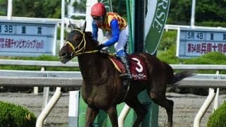 【JRA】テーオーエナジーが園田移籍へ、2018年の兵庫チャンピオンシップ覇者