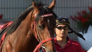 『京都競馬場アイドルホースオーディション』結果発表　ライスシャワーやキセキ超える京都のアイドルは…