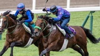 【札幌記念予想】人気の好実績ノーザンファーム生産馬に落とし穴/JRAレース展望 