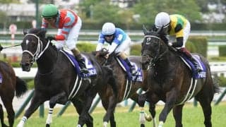 ディープボンドとエントシャイデン、仏シャンティイの清水裕夫厩舎に到着