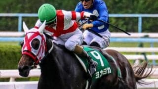 【北九州記念】過去10年間で1番人気馬の勝利はない波乱傾向のレース