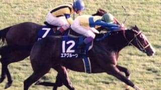 日本屈指の良血一族出身のソネットフレーズ。「絶対能力はある」と騎手が太鼓判