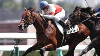 【札幌5R新馬戦結果】スカイフォールがロスなくラチ沿いから抜け出す