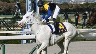 【札幌記念・馬体重】ソダシは472kg(0)、ラヴズオンリーユーは470kg(-8)