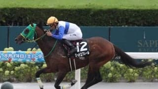 【JRA・WIN5】本日のWIN5は的中42票、配当1248万7510円