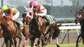 【北九州記念結果】ヨカヨカが熊本産馬初のJRA重賞制覇！