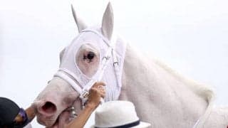 【勝負の分かれ目 札幌記念】ソダシが危なげないレースで「復権」