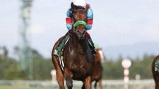 【JRA】大竹正博調教師の調教停止期間が満了、手塚貴久厩舎から管理馬が再転厩