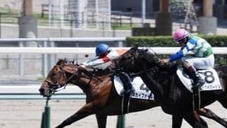 【新馬/札幌5R】キングカメハメハ産駒 スカイフォールがデビューV