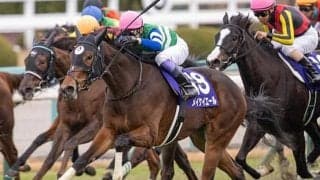 【キーンランドC想定騎手】メイケイエールは武豊騎手、レイハリアは亀田温心騎手