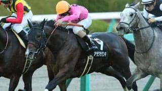 【小倉サマージャンプ想定騎手】アサクサゲンキは熊沢重文騎手、マサハヤドリームは森一馬騎手