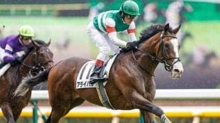 【新潟2歳S想定騎手】アライバルはC.ルメール騎手、オタルエバーは幸英明騎手