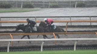 アドマイヤロブソン半弟アドマイヤグリーゼが藤岡康太騎手でデビュー/関西馬メイクデビュー情報