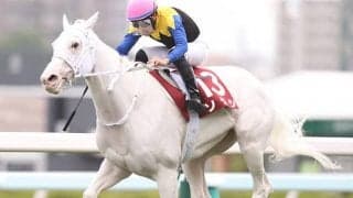 「先へ行っての粘り強さは格別」父クロフネ母父キングカメハメハの強みを体現したソダシ