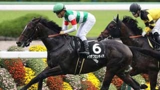 【先週のJRA抹消馬】トゥザグローリーの半弟トゥザフロンティア、天皇賞・春に出走したジャコマルなど