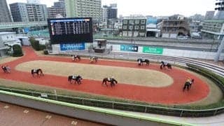 【地方競馬】川崎競馬は9月17日まで無観客開催