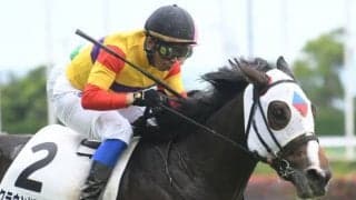 【新潟2歳S展望】2歳のマイル重賞、好走の条件とは