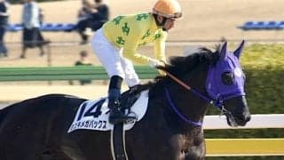 【門別競馬情報】大注目の「連勝馬」が相次ぎ登場！11R「第35回愛別きのこフェス特別」＝転入7連勝めざす8トウカイラルゴ、12R「モーリス・プレミアム」＝2グリントビート転入9連勝なるか/地方競馬情報