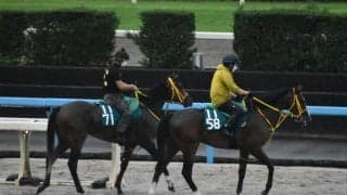 ヴェールランスなど、先週のゲート試験/栗東トレセンニュース