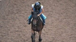 ジェンティルドンナの2019など、先週の入厩情報/栗東トレセンニュース