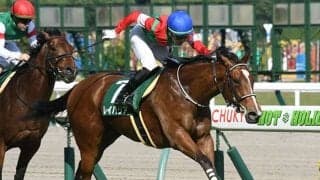 【キーンランドC・注目馬】重賞連勝を狙うレイハリア　ライバルたちの活躍に続けるか