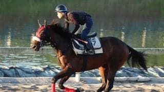 主戦・西川敏弘騎手「短距離選手から長距離選手に変える」　ハルノインパクトと目指す高知三冠！