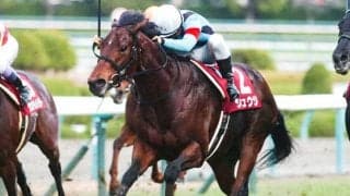 【キーンランドC予想】AIが推した激走馬は意外すぎる人気薄 休養中に転厩もあったベテランの逆襲あるか/JRA重賞レース展望