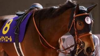 【キーンランドC展望】サマースプリントシリーズ第5弾、あの馬に期待したい