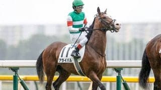 【新潟2歳S予想オッズ】単勝2.1倍で1番人気のアライバルにクレイドル、セリフォスが続く