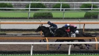 ラインベック、新潟記念1週前追い切り速報/栗東トレセンニュース