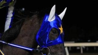 【門別競馬情報】1200mでの初勝利ねらう快足アザワク！そうはさせじと実績馬ソルサリエンテ、フジノパンサーらが自慢の末脚で追い詰める「ロードカナロア・プレミアム」/地方競馬情報