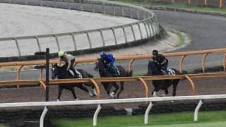 ショウナンマッハ、小倉2歳S1週前追い切り速報/栗東トレセンニュース