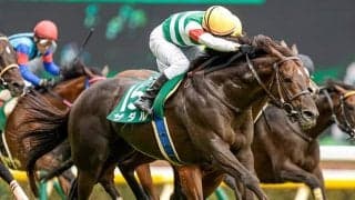 【新潟記念想定】エプソムC覇者ザダル、重賞連勝を狙うトーセンスーリヤなど