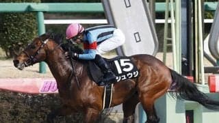 【AI予想】枠順次第でさらに好走確率UP？ キーンランドCで狙う価値十分な人気薄馬