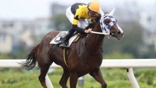 【浦和・新選特別結果】本橋孝太騎手騎乗のジョーストーリーが無傷の3連勝