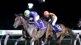【門別競馬情報】実績上位のモーニングショー、ダイナソーらに新星候補リコーヴィクターの走りも注目！「第8回サッポロクラシックカップH2」/地方競馬情報