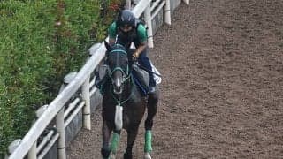 【小倉サマージャンプ】出走馬・騎手確定 アサクサゲンキ＆熊沢重文騎手、マサハヤドリーム＆森一馬騎手など8頭