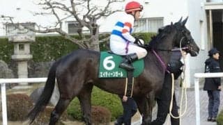 キーンランドＣで波乱を起こすのは追い込み馬。穴党記者渾身の４頭に刮目せよ