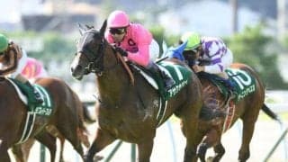 【小倉サマージャンプ枠順確定】アサクサゲンキは6枠6番、コウキチョウサンは1枠1番