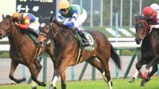 【キーンランドC枠順確定】メイケイエールは3枠5番、ミッキーブリランテは6枠11番