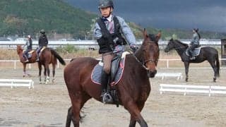 【東京パラ五輪】元JRA調教助手・宮路満英選手が馬術個人競技で7位に入賞