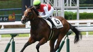 【小倉2歳S想定】ショウナンマッハは松山弘平騎手、スリーパーダは福永祐一騎手