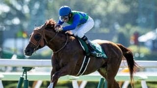 【新潟記念想定】トーセンスーリヤは横山和生騎手、ギベオンは岩田望来騎手