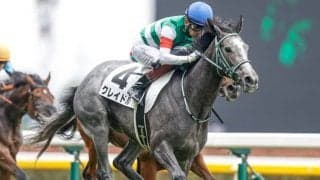 【新潟2歳S予想】新馬戦好走、鞍上も好成績、でも危険な人気馬/JRAレース展望 