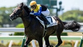 【札幌2歳S想定】ディアドラ全弟リューベック、コスモス賞覇者トーセンヴァンノなど10頭