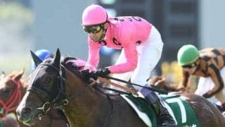 【本日の注目ポイント】障害重賞・小倉サマージャンプ　新馬戦では注目馬が続々デビュー