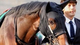 【小倉サマージャンプ予想】この舞台からハードル界の主役の座を狙う